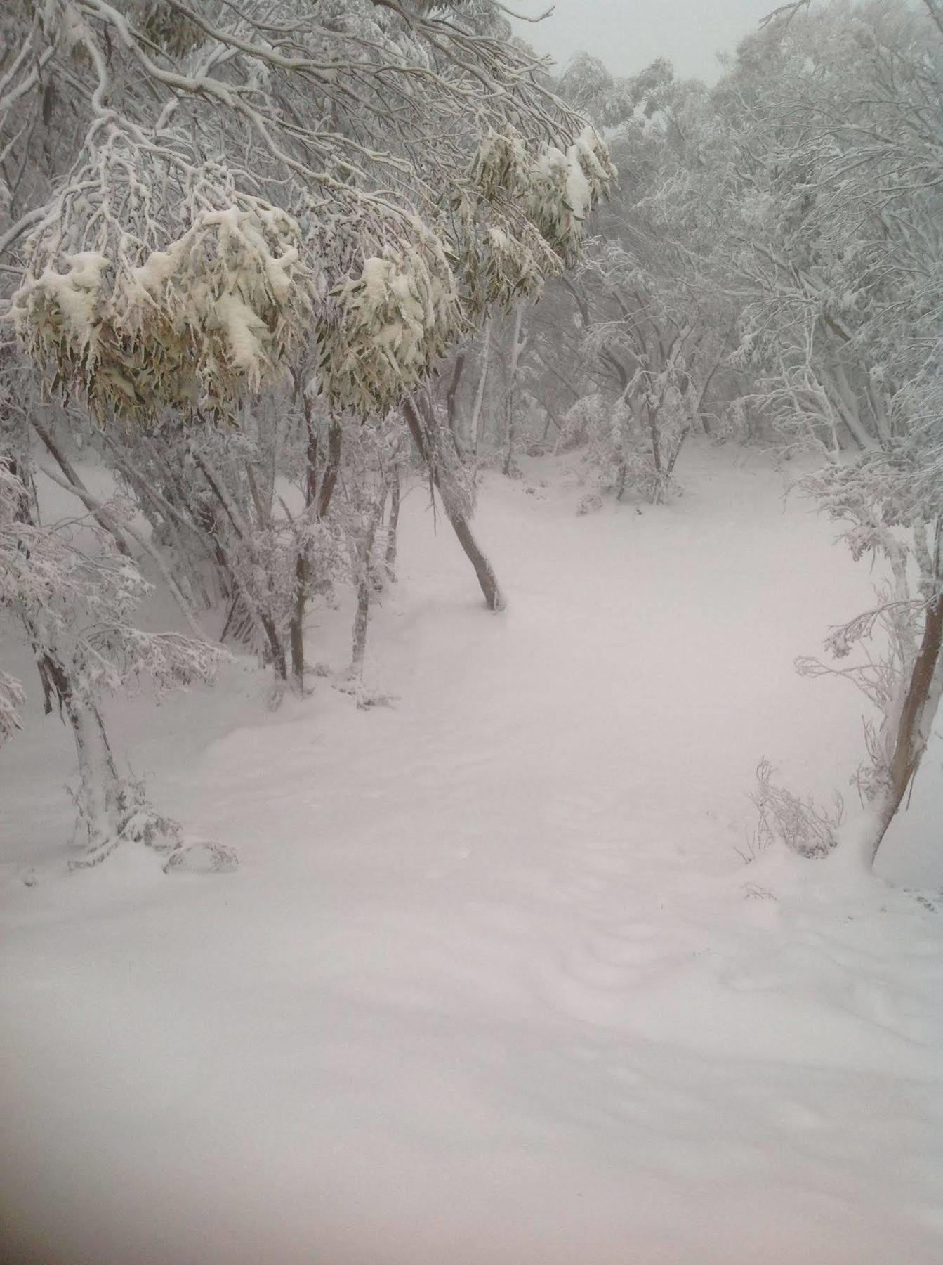 Terama Ski Lodge Mount Buller Zewnętrze zdjęcie
